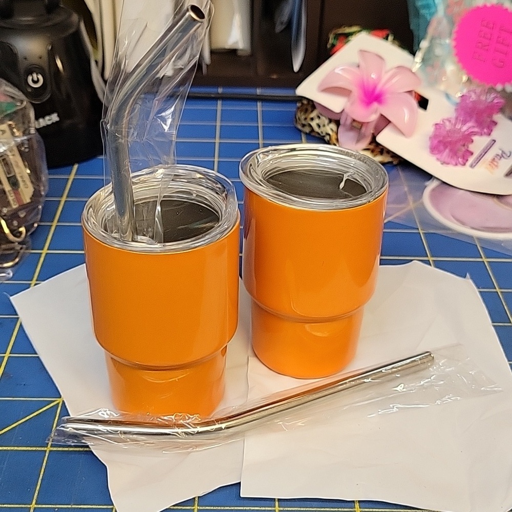 Orange Stainless Steel 3oz Tumblers with Metal Straws New